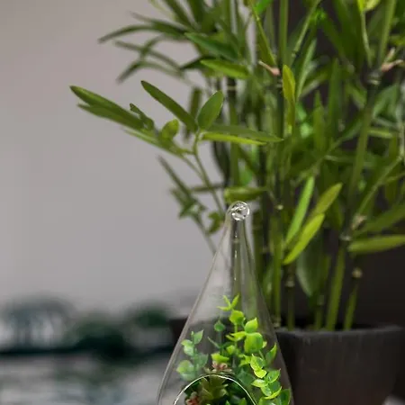 Appartement La Savane - Comme à La Maison - Châteaubriant