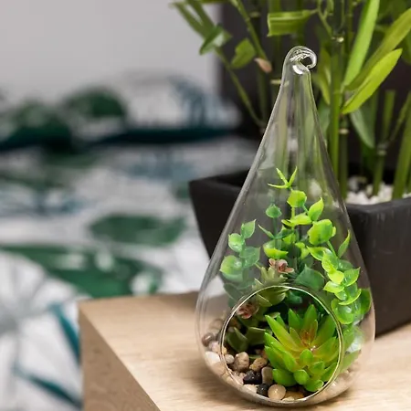 La Savane - Comme A La Maison - Apartment *