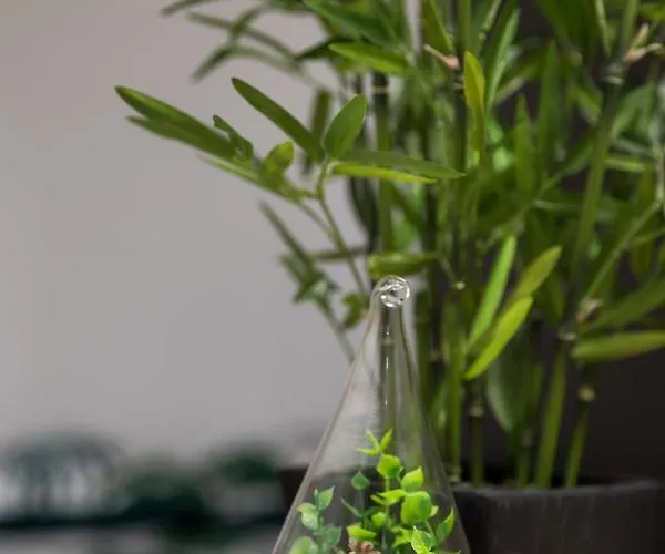 Apartamento La Savane - Comme A La Maison - Châteaubriant