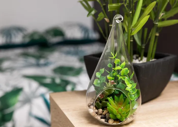 La Savane - Comme A La Maison - Apartamento *